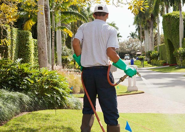 About Masonville NY Pest Control